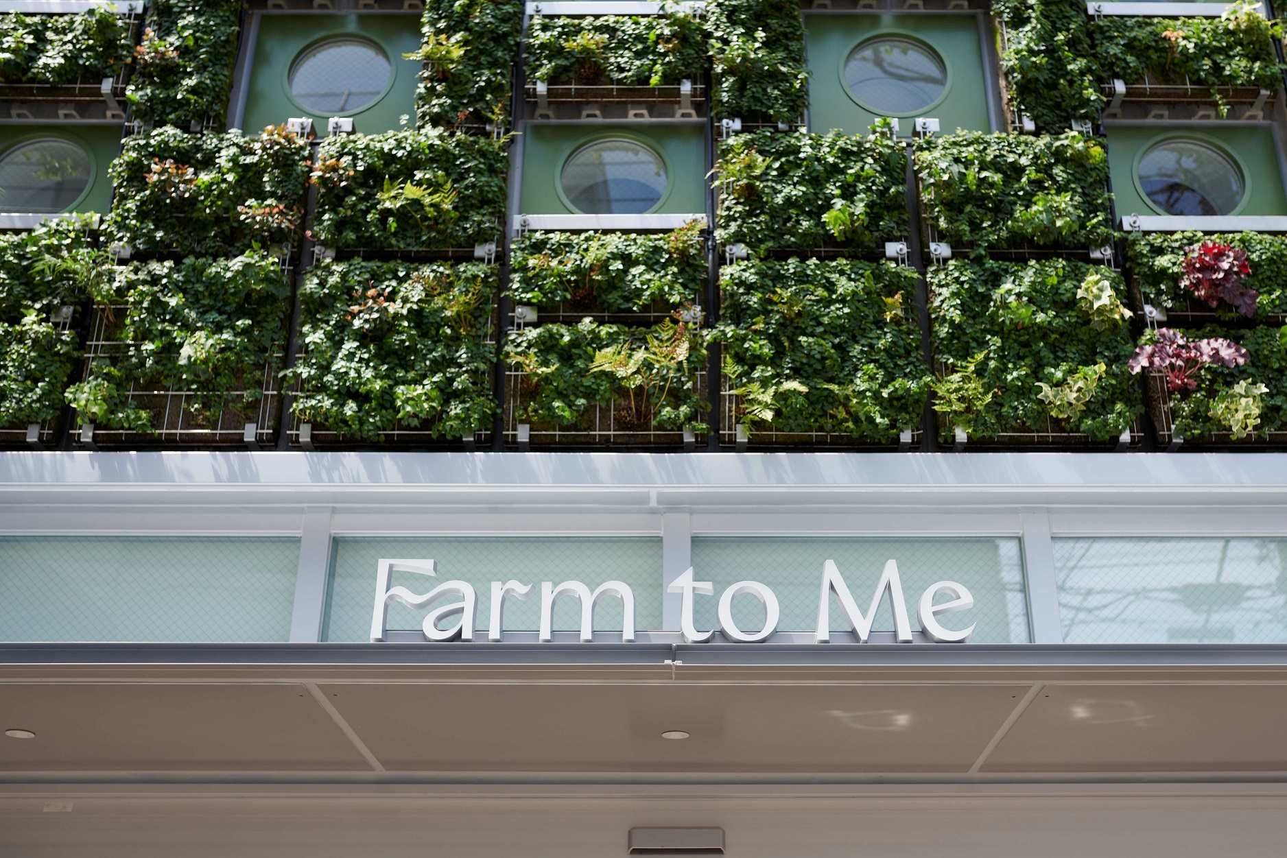 株式会社ナピネス-Farm to Me SUGAR FACTORY 1枚目