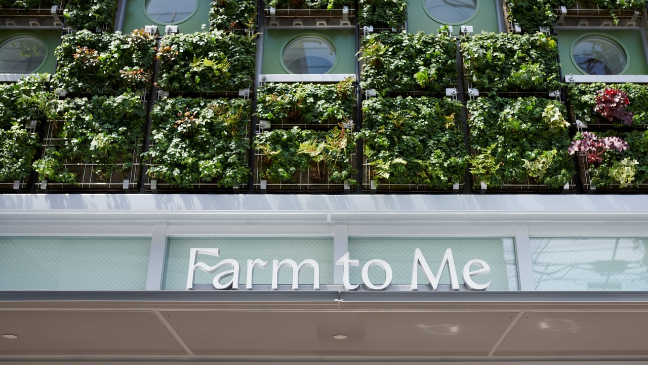 Farm to Me SUGAR FACTORYの事業内容の写真1枚目