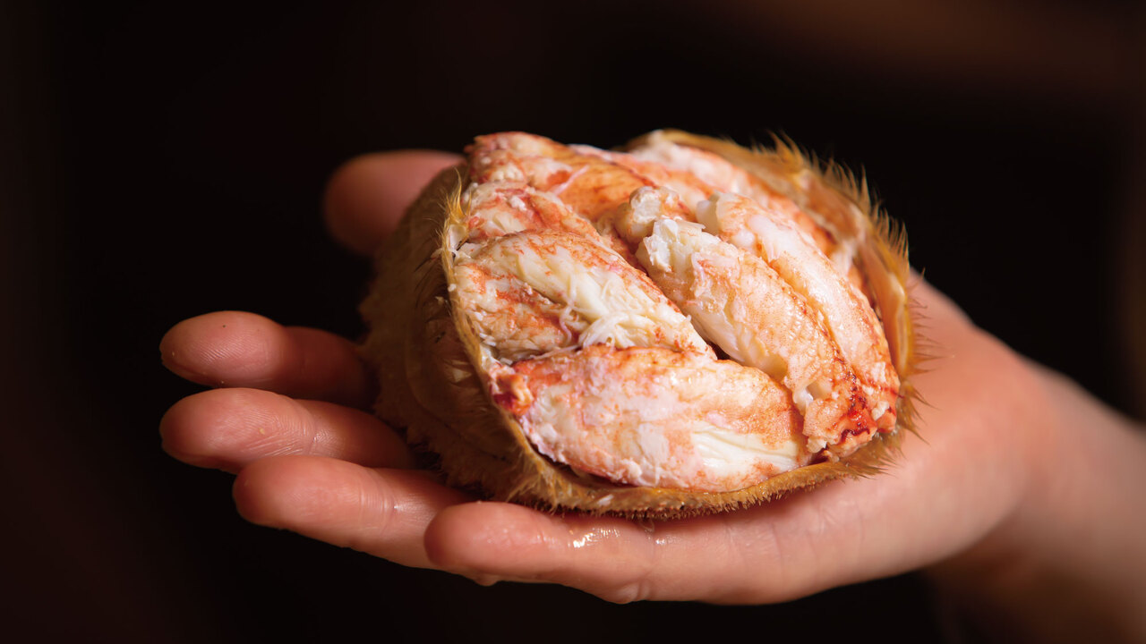 新地 鮓 ゆうじろうのこだわりポイントの写真1枚目