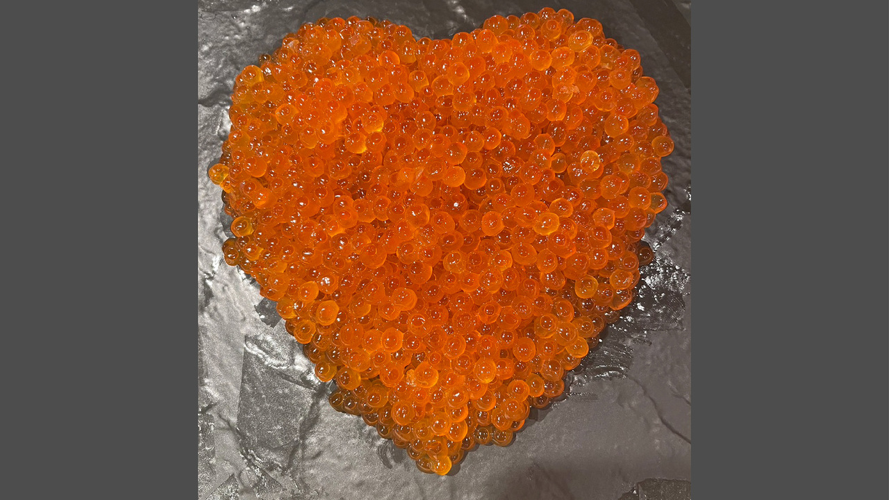 すし屋 蓮太郎のこだわりポイントの写真3枚目