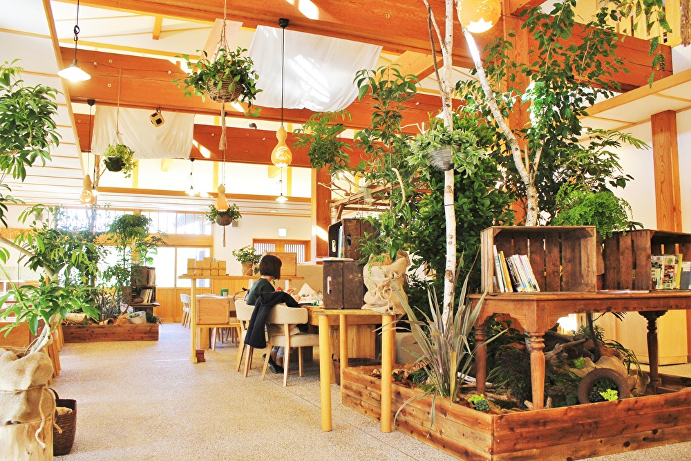 石坂産業株式会社-三富今昔村 1枚目