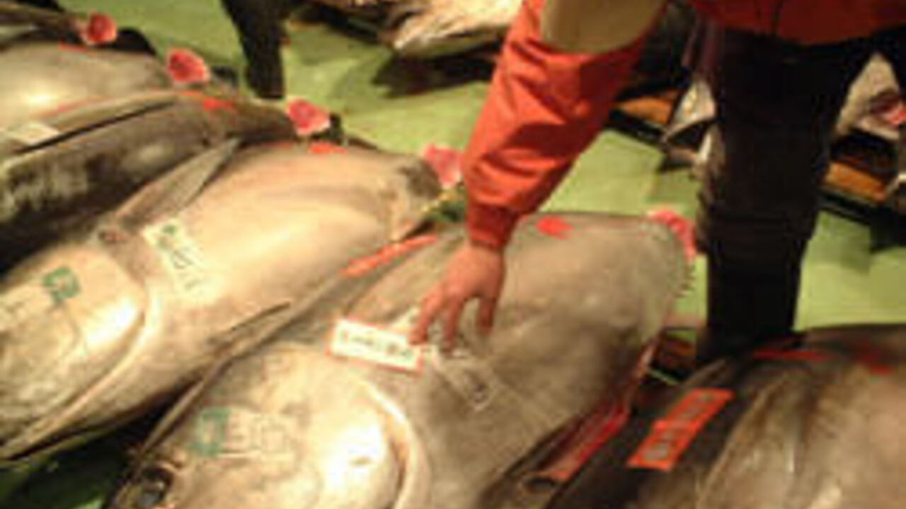 回転すしまるくにのこだわりポイントの写真1枚目