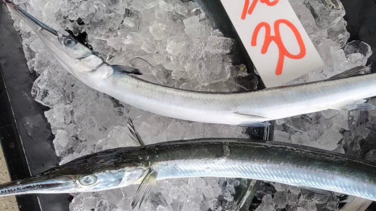 みえの魚屋さんで働く人の写真1枚目