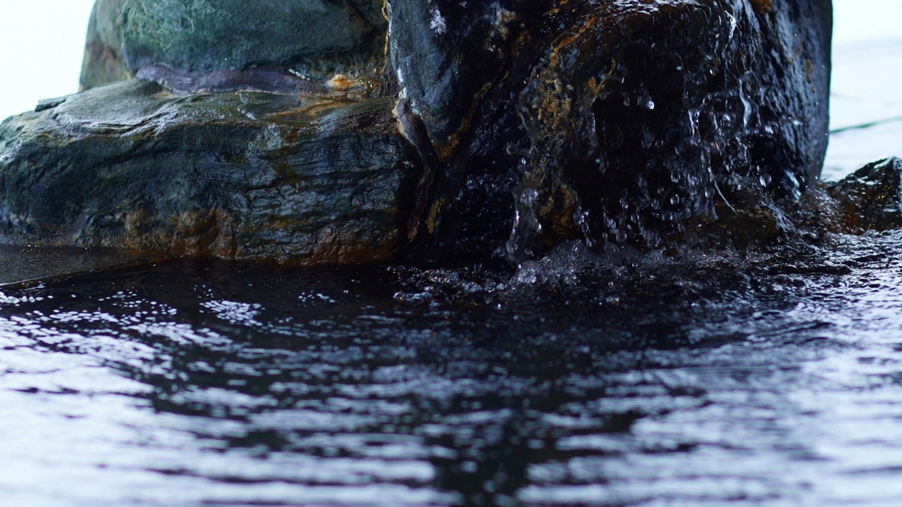 京湯元ハトヤ瑞鳳閣の事業内容の写真3枚目