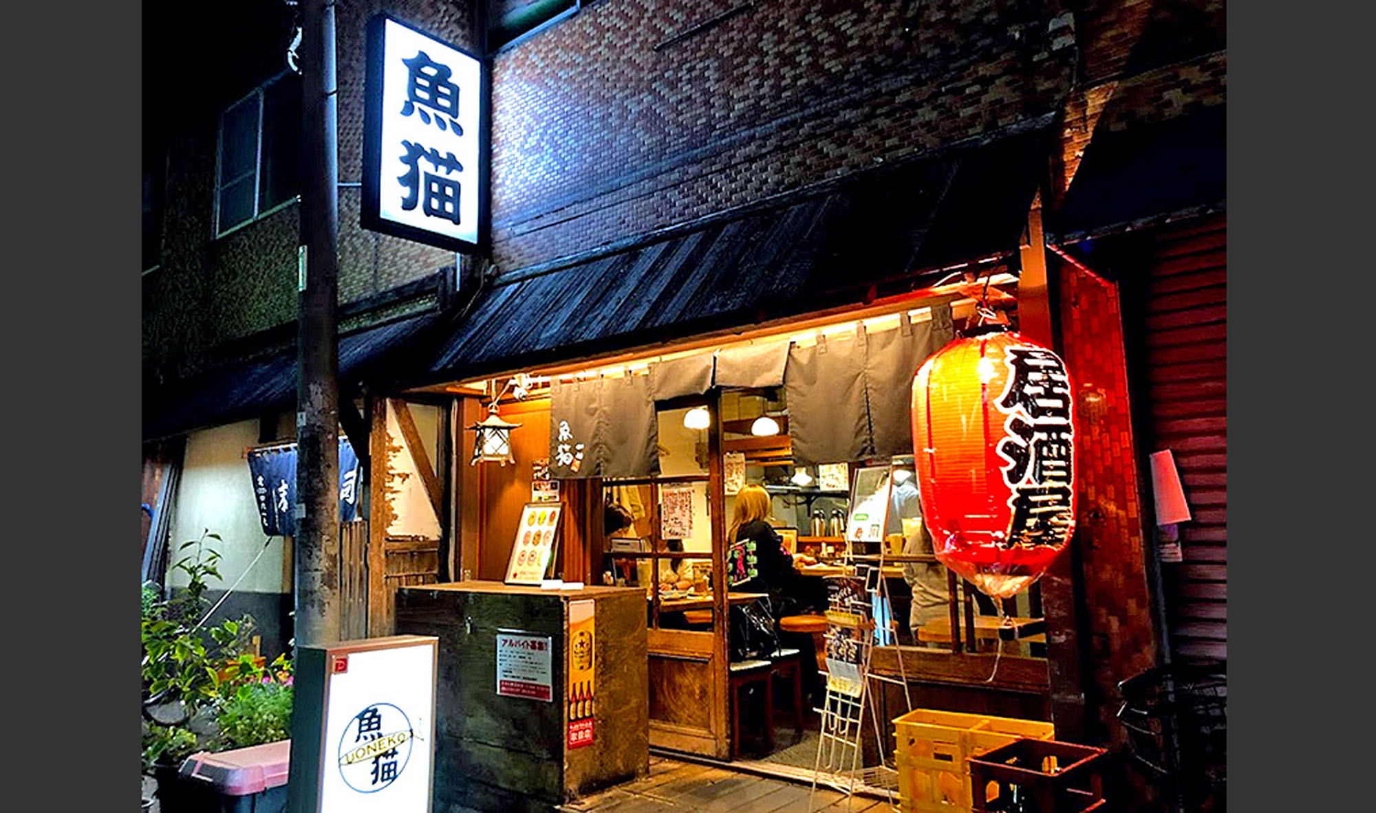 ひなた株式会社-魚猫 2枚目