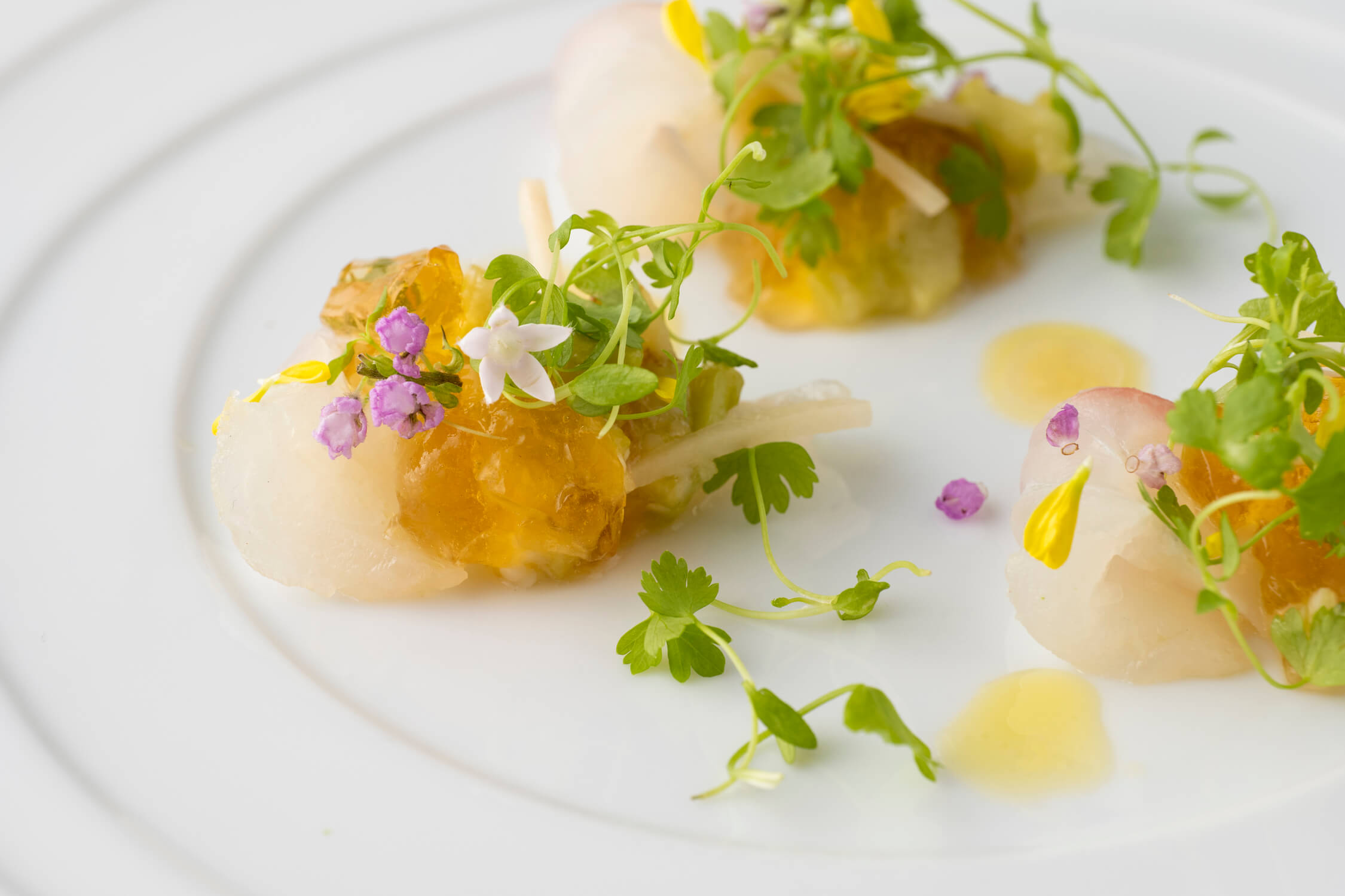 株式会社サニーテーブル-Casita(カシータ) 1枚目