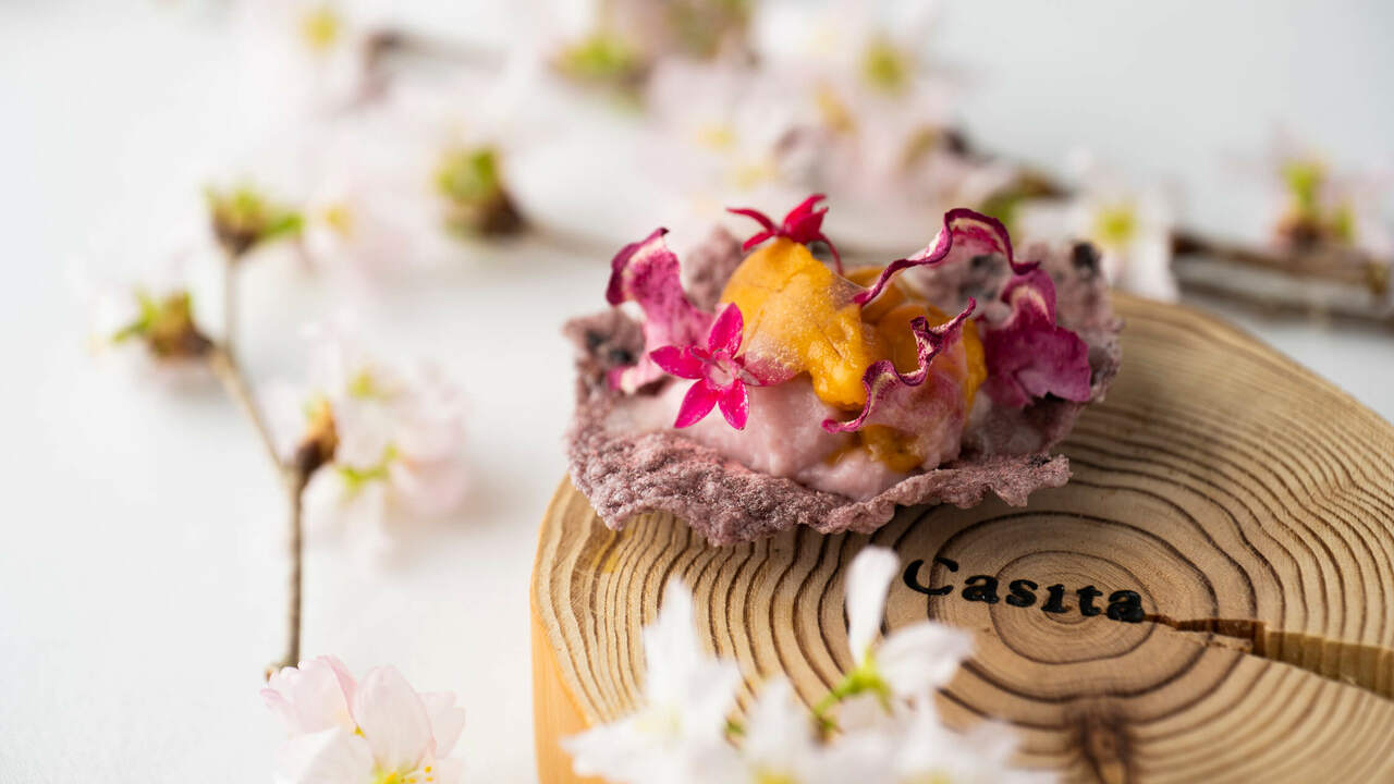 Casita(カシータ)の事業内容の写真1枚目