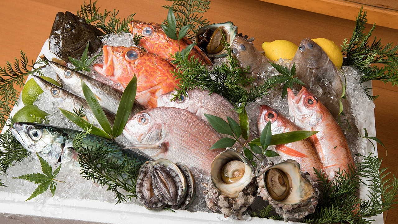 魚粋の事業内容の写真4枚目