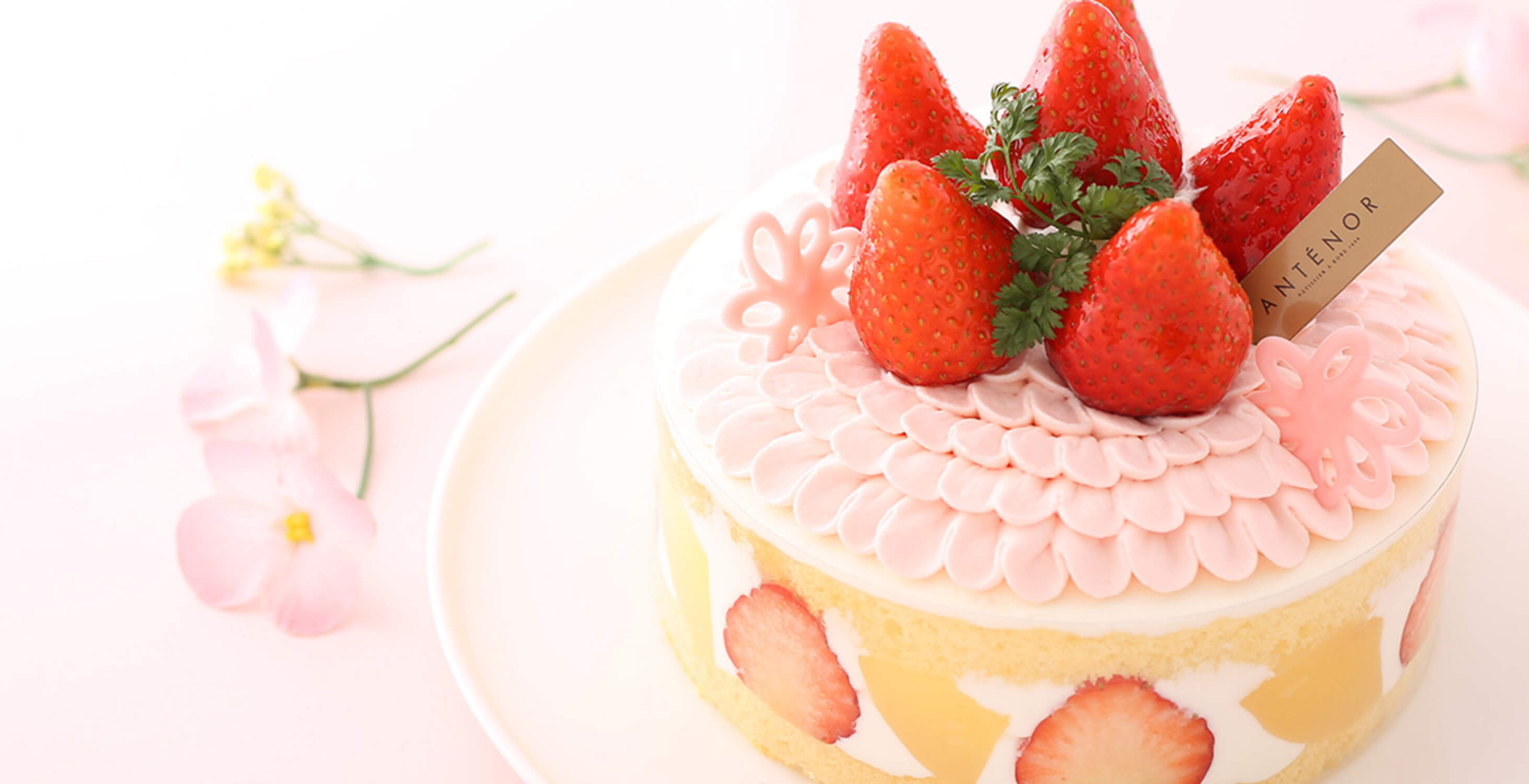 株式会社エーデルワイス-アンテノール 1枚目