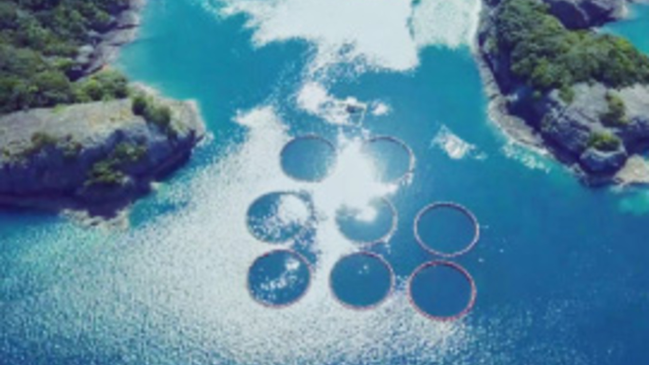 魚の飯（さかなのまんま）のこだわりポイントの写真1枚目