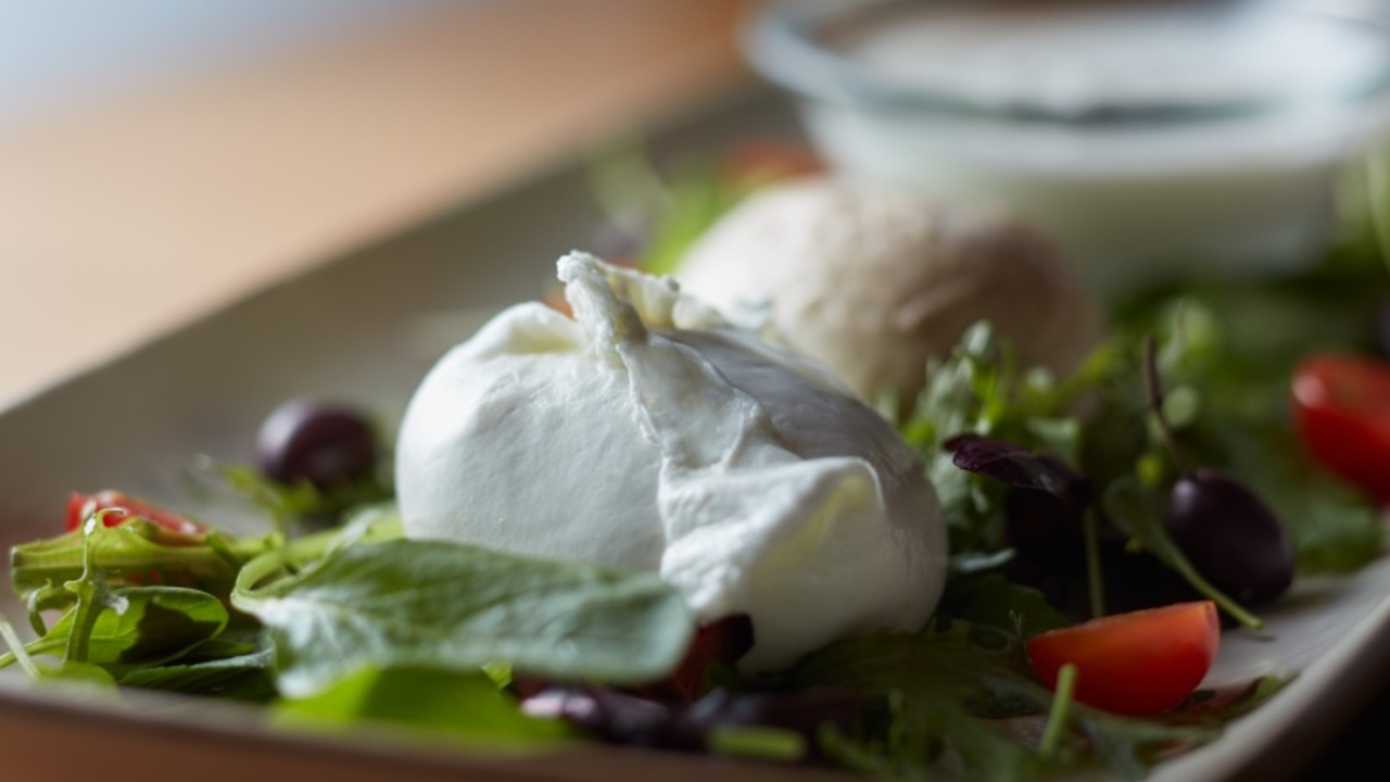 オービカ モッツァレラバーの事業内容の写真1枚目