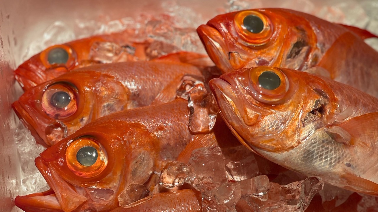 魚釜の事業内容の写真3枚目