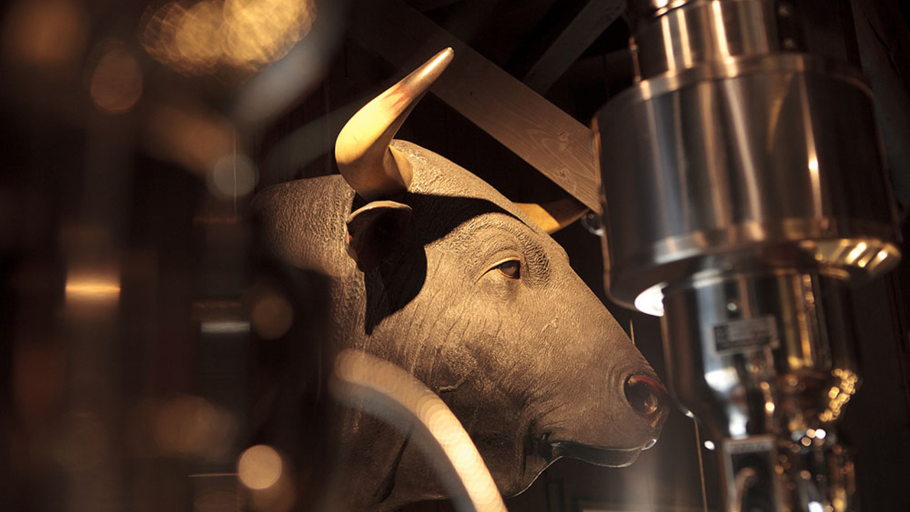 日本焼肉党の事業内容の写真4枚目