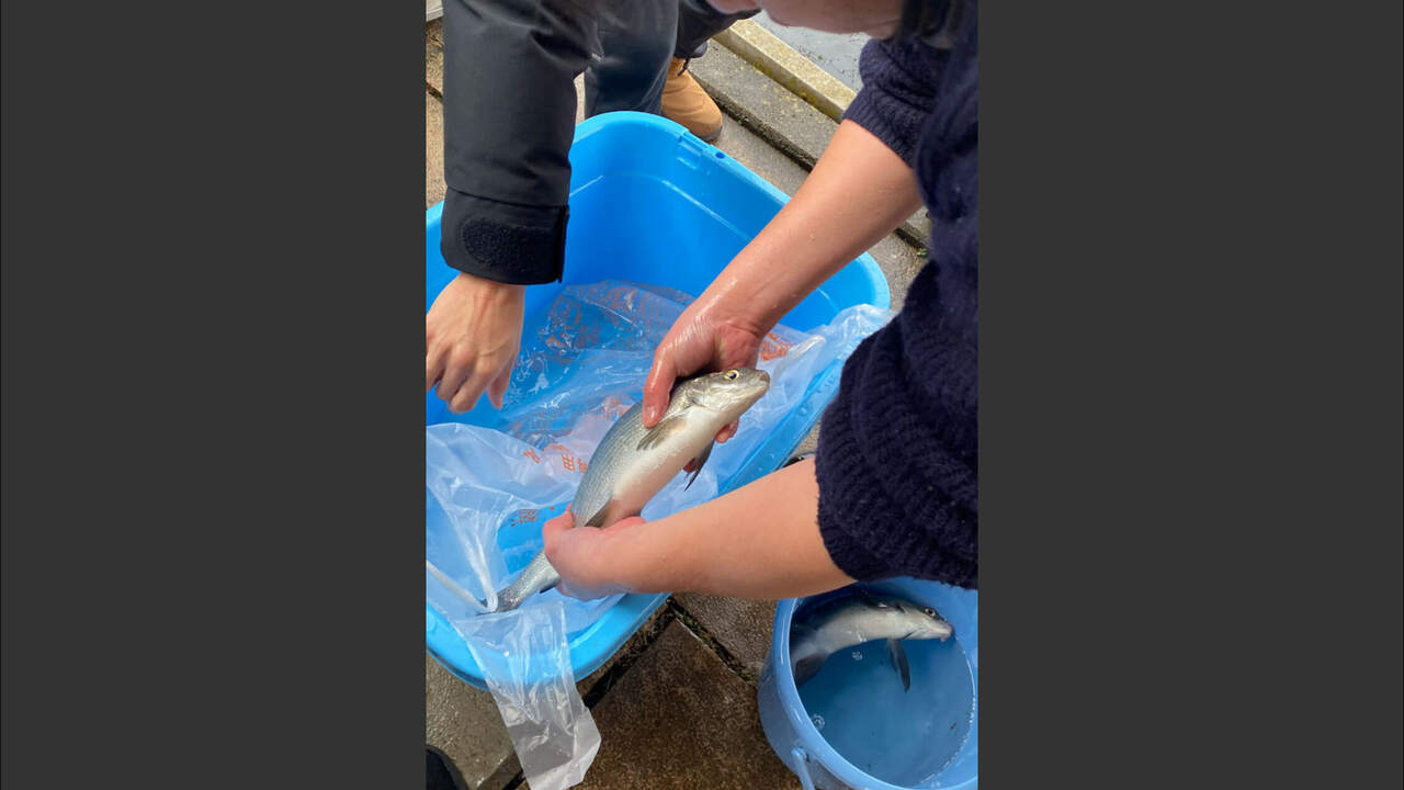 BYAKU Naraiのこだわりポイントの写真4枚目