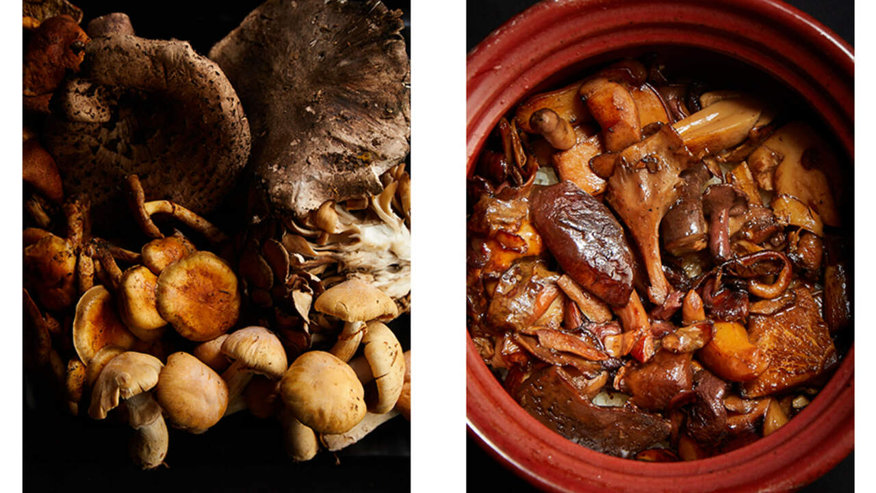 BYAKU Naraiの事業内容の写真4枚目