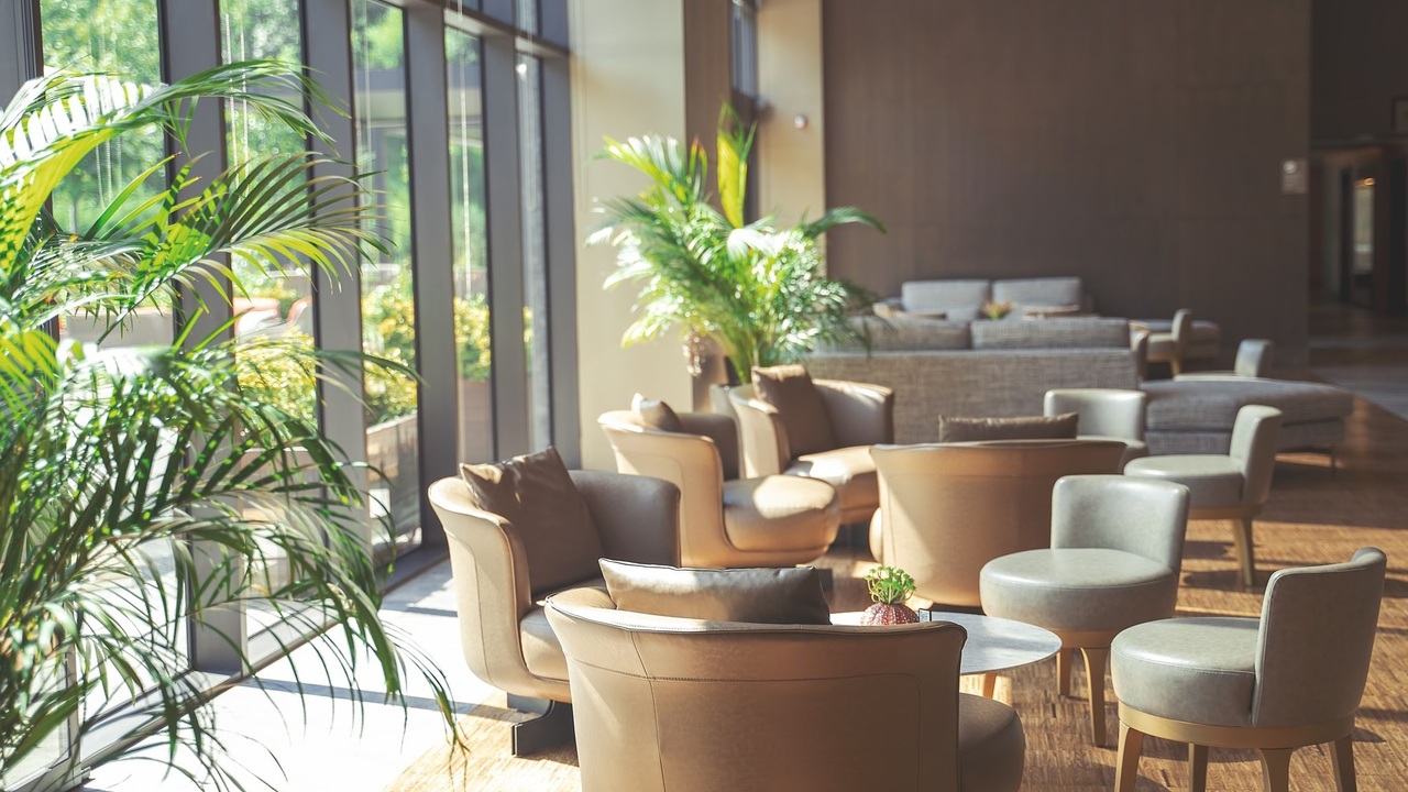 LEXUS MEETS…の事業内容の写真1枚目