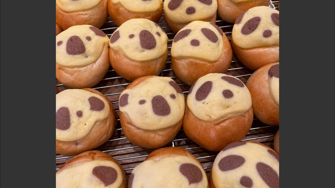 パンビで働く人の写真3枚目