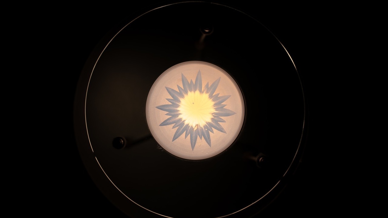 　Φ    の事業内容の写真3枚目