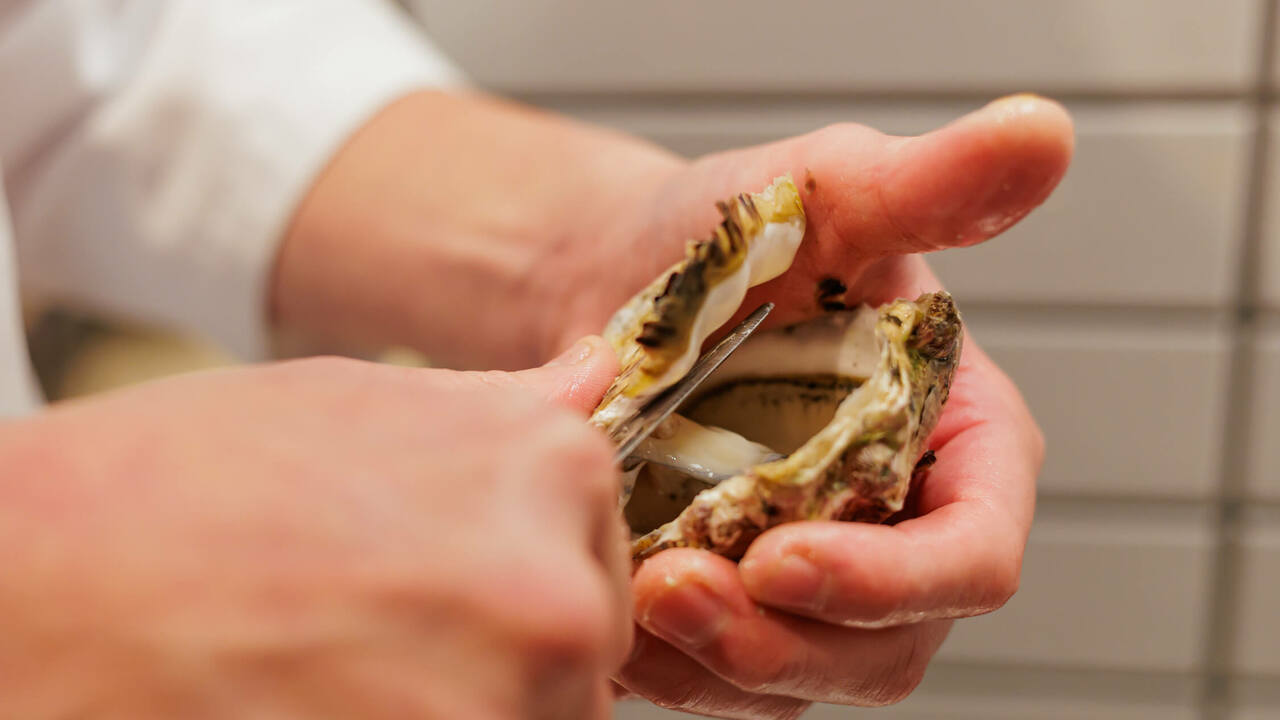 桜山鮨食人 五と二の事業内容の写真2枚目