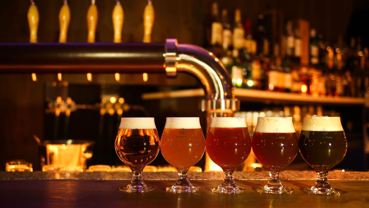 Anchor Point の事業内容の写真2枚目