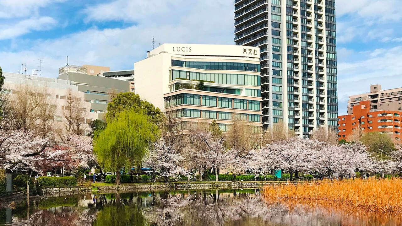 中国料理 東天紅の事業内容の写真3枚目