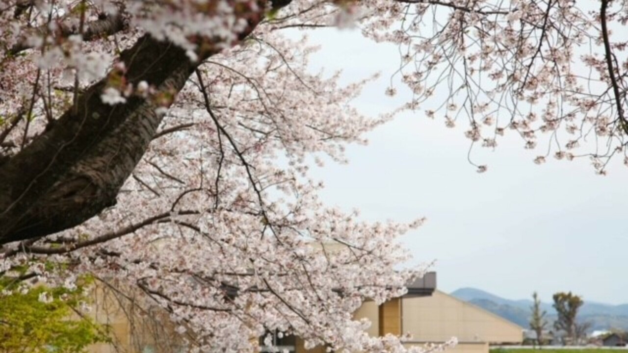 ガーデンホール矢部川城のこだわりポイントの写真1枚目