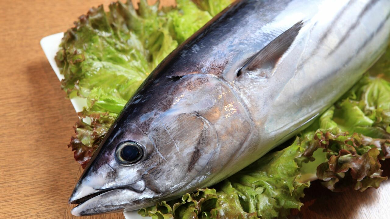 土佐龍温泉　三陽荘で働く人の写真1枚目