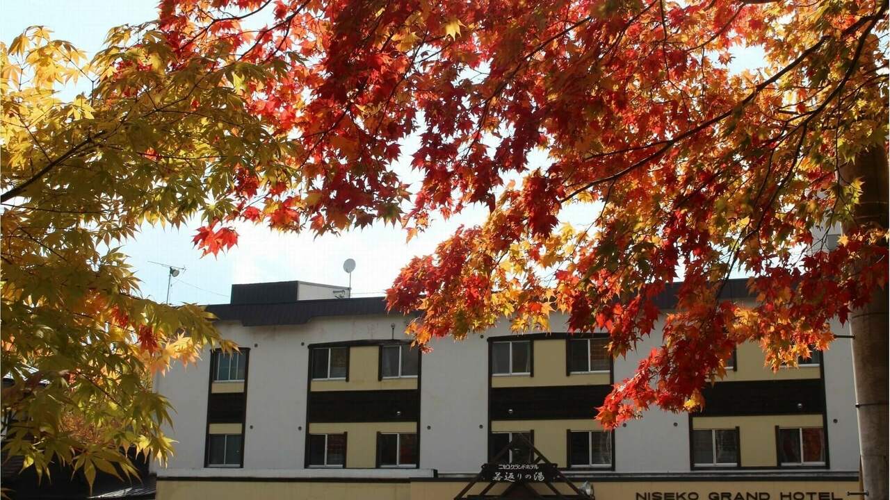 ニセコグランドホテルの事業内容の写真1枚目