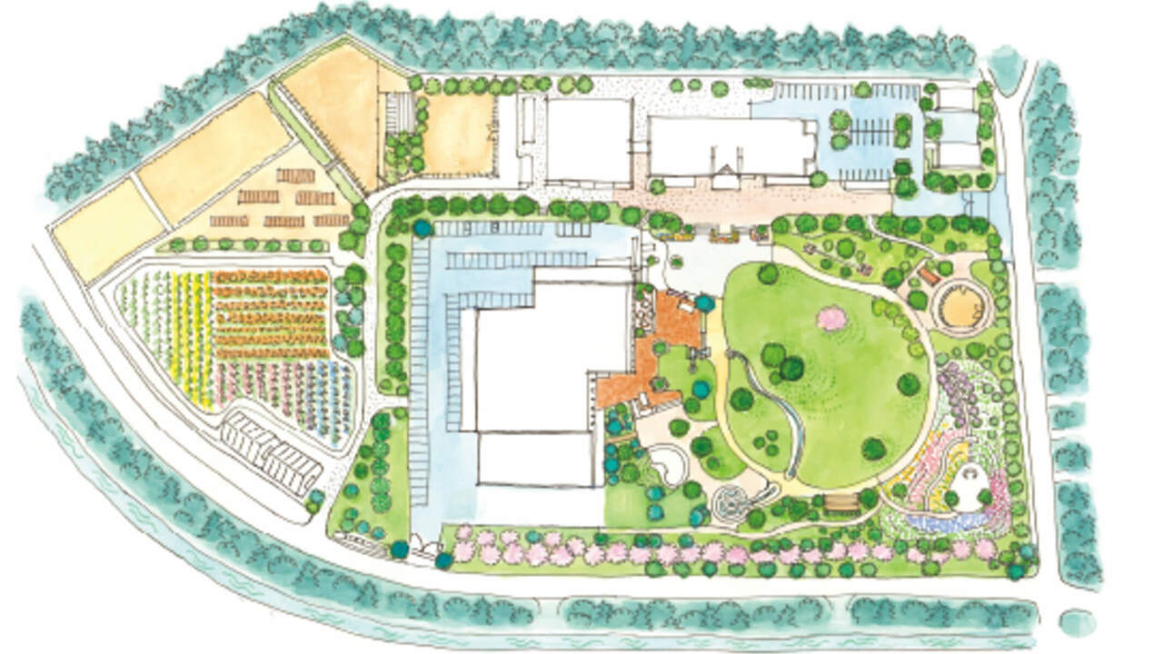 ナチュの森のこだわりポイントの写真2枚目