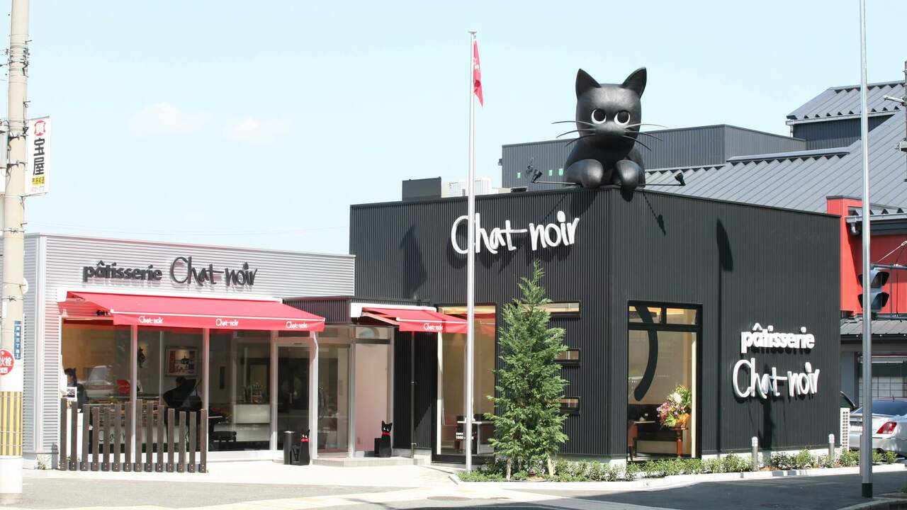 シャノワールの事業内容の写真4枚目