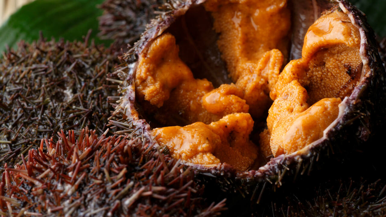 銀座 鰤門（しもん）の事業内容の写真3枚目
