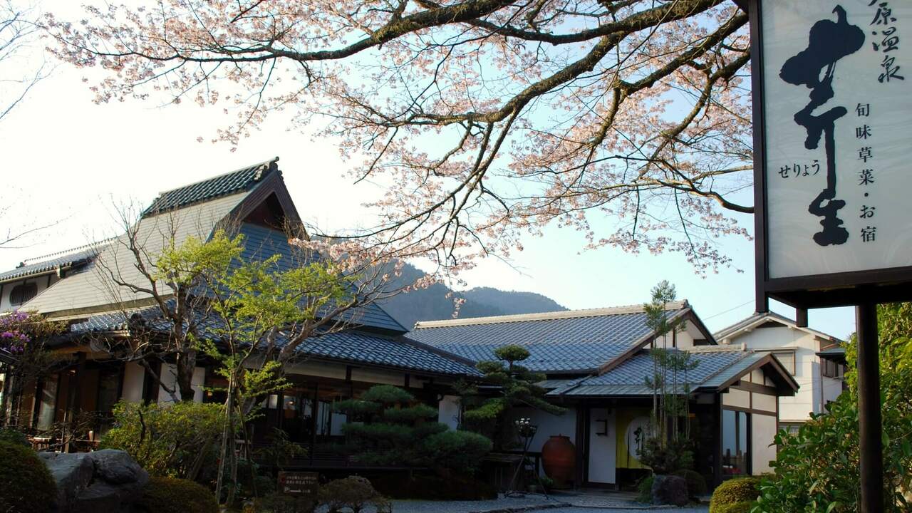 料理旅館 芹生で働く人の写真2枚目