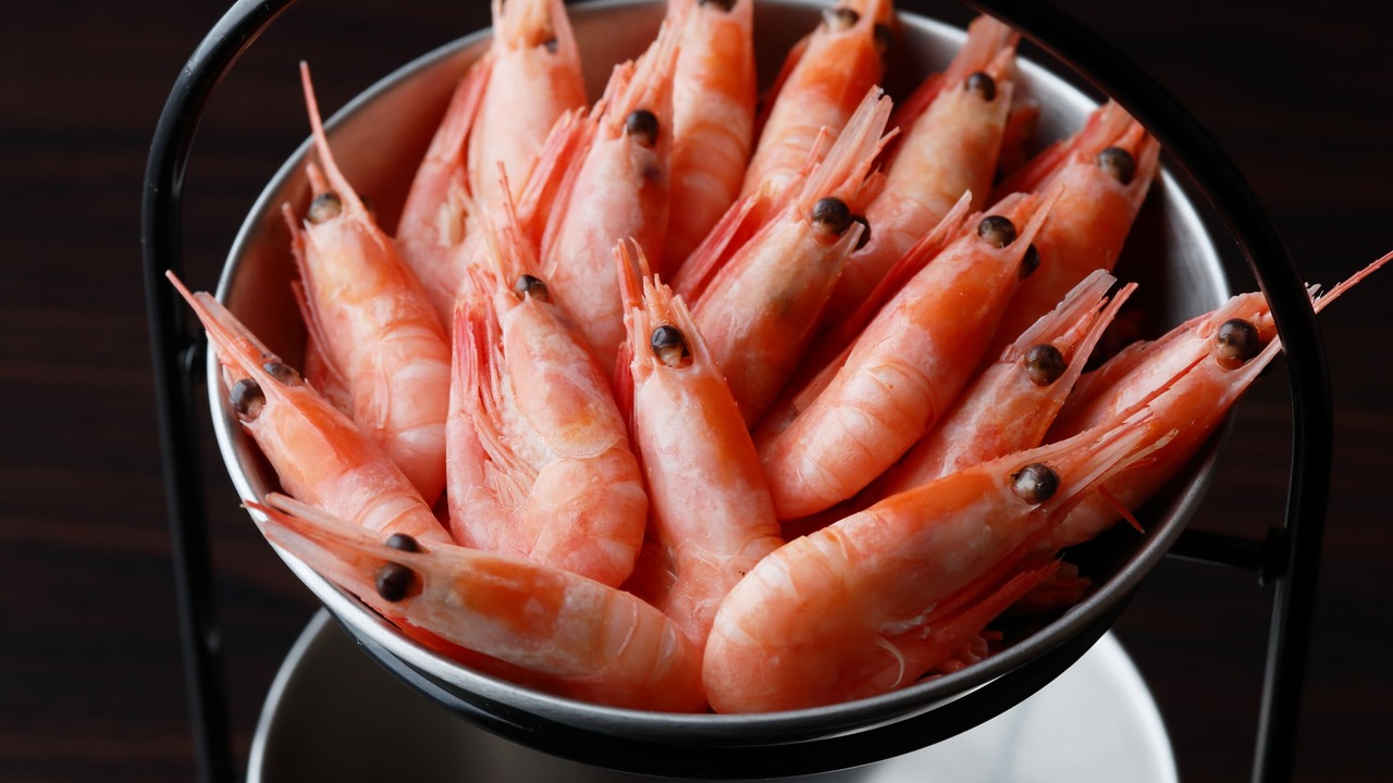 シュリンプガーデンの事業内容の写真3枚目