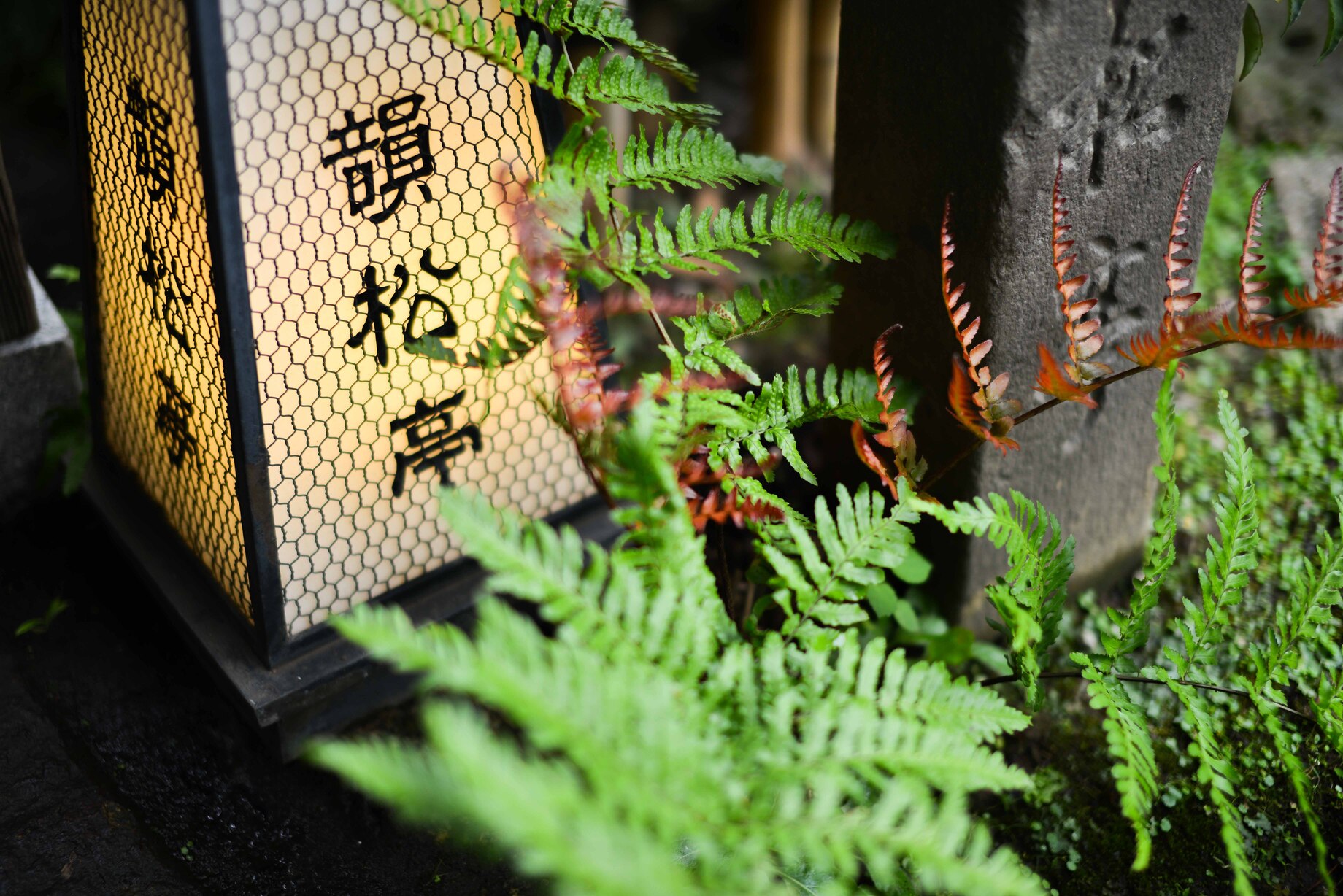 株式会社八十嶋-韻松亭 1枚目