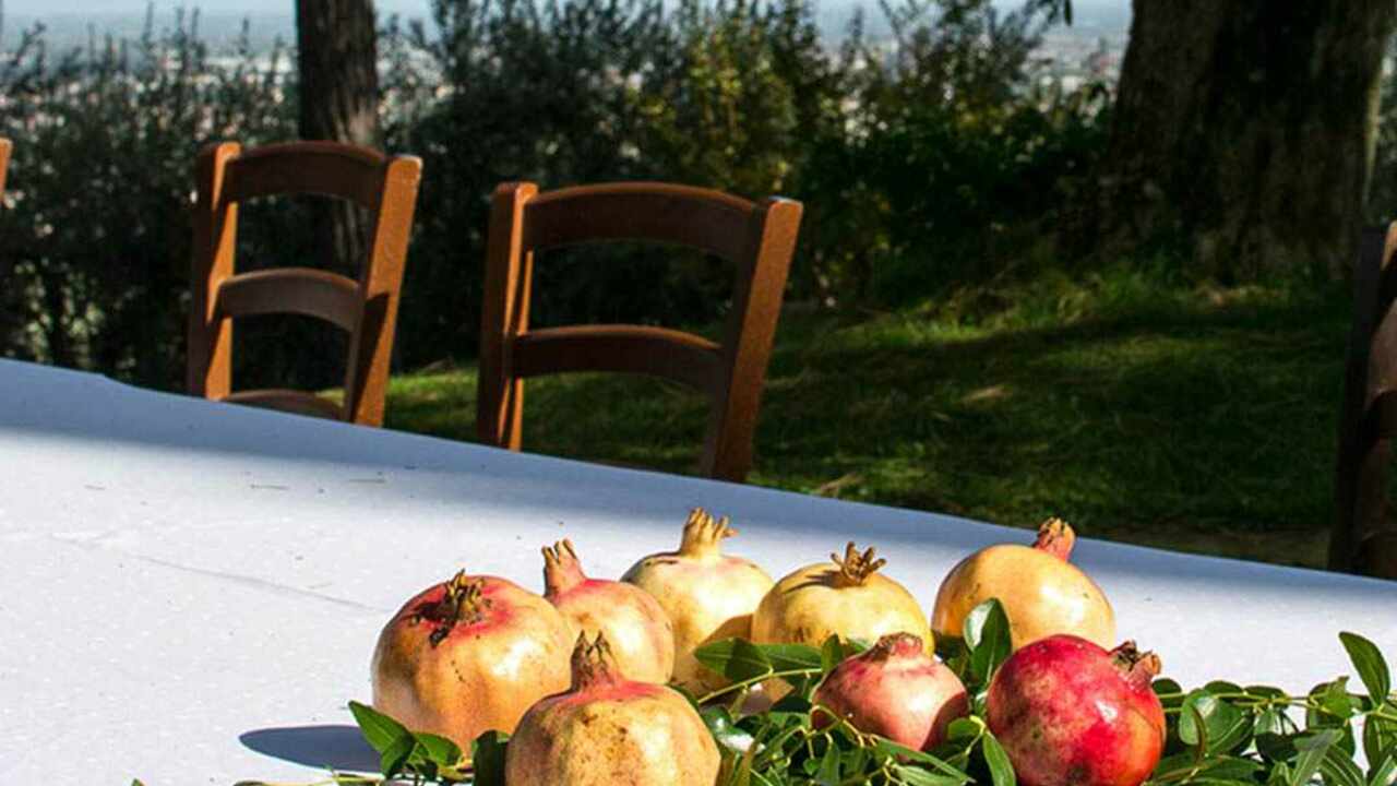 CUCINA DIESEL FARM （クッチーナ ディーゼル ファーム）の事業内容の写真1枚目