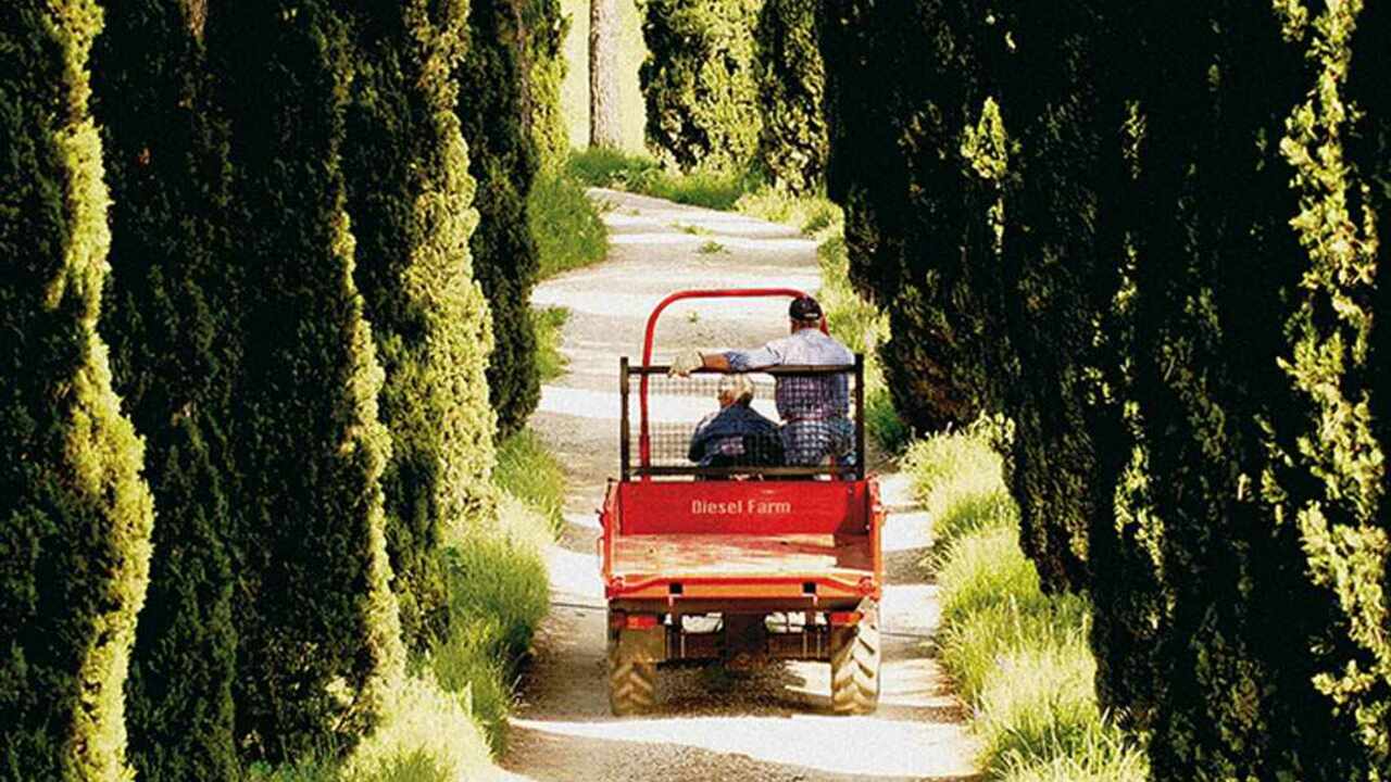 CUCINA DIESEL FARM （クッチーナ ディーゼル ファーム）の事業内容の写真2枚目