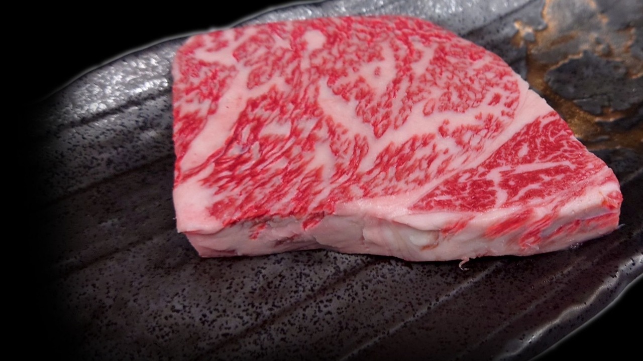 石垣島きたうち牧場の事業内容の写真2枚目