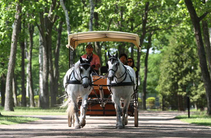 株式会社ノーザンホースパーク-ノーザンホースパーク 1枚目