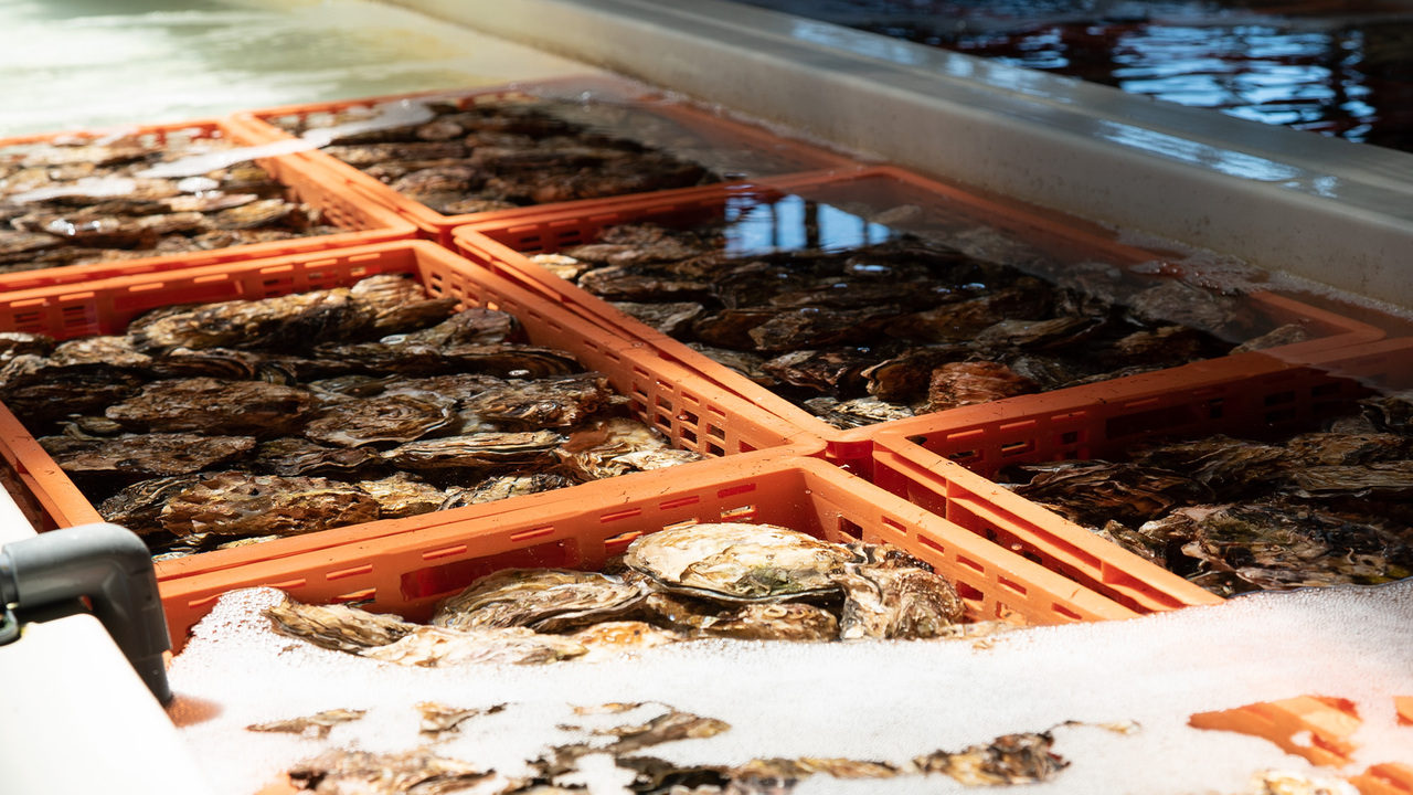 L'ECAILLER OYSTER BARの事業内容の写真2枚目