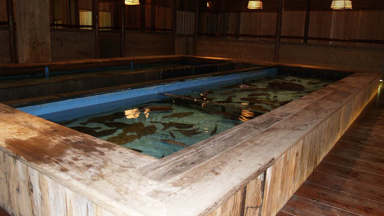 明日香のこだわりポイントの写真2枚目