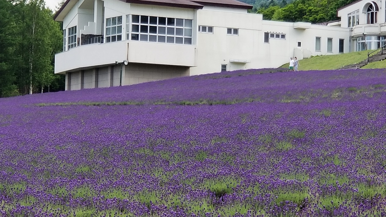 ふらのワインハウスの事業内容の写真2枚目