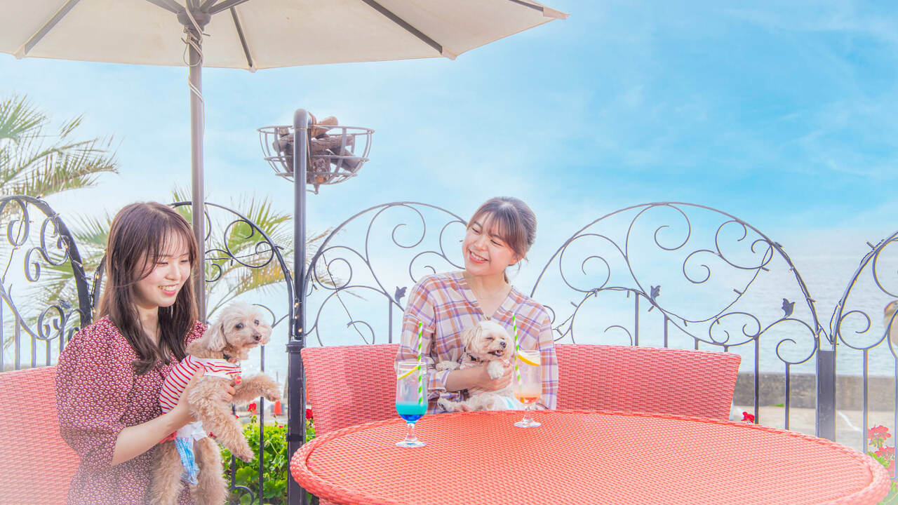 miele the gardenで働く人の写真1枚目