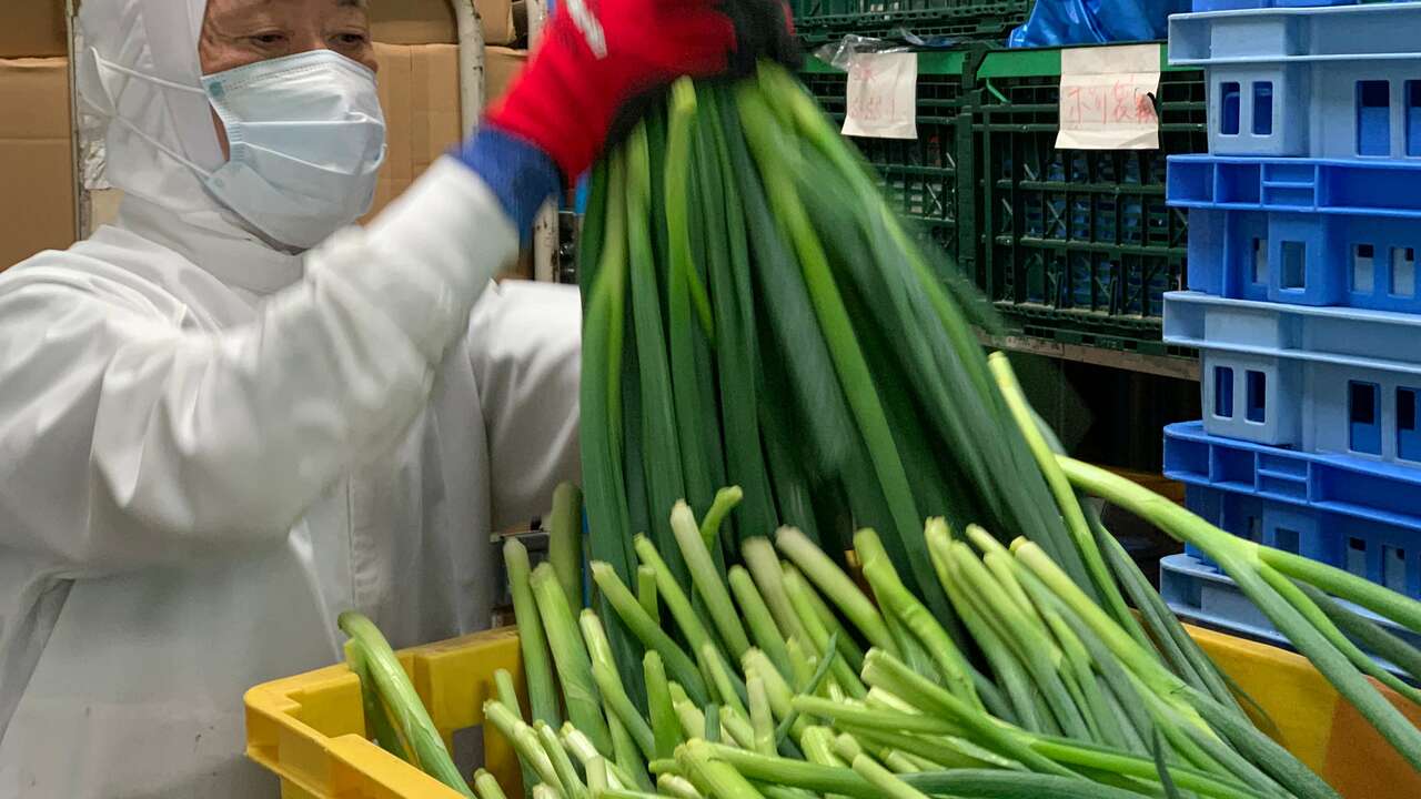 成城石井　セントラルキッチンで働く人の写真4枚目