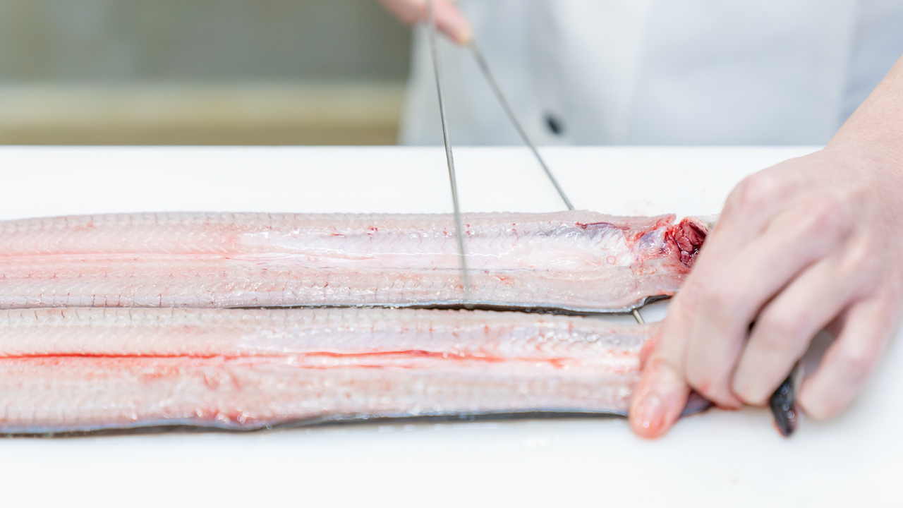 うなぎ 和食 しら河の事業内容の写真2枚目