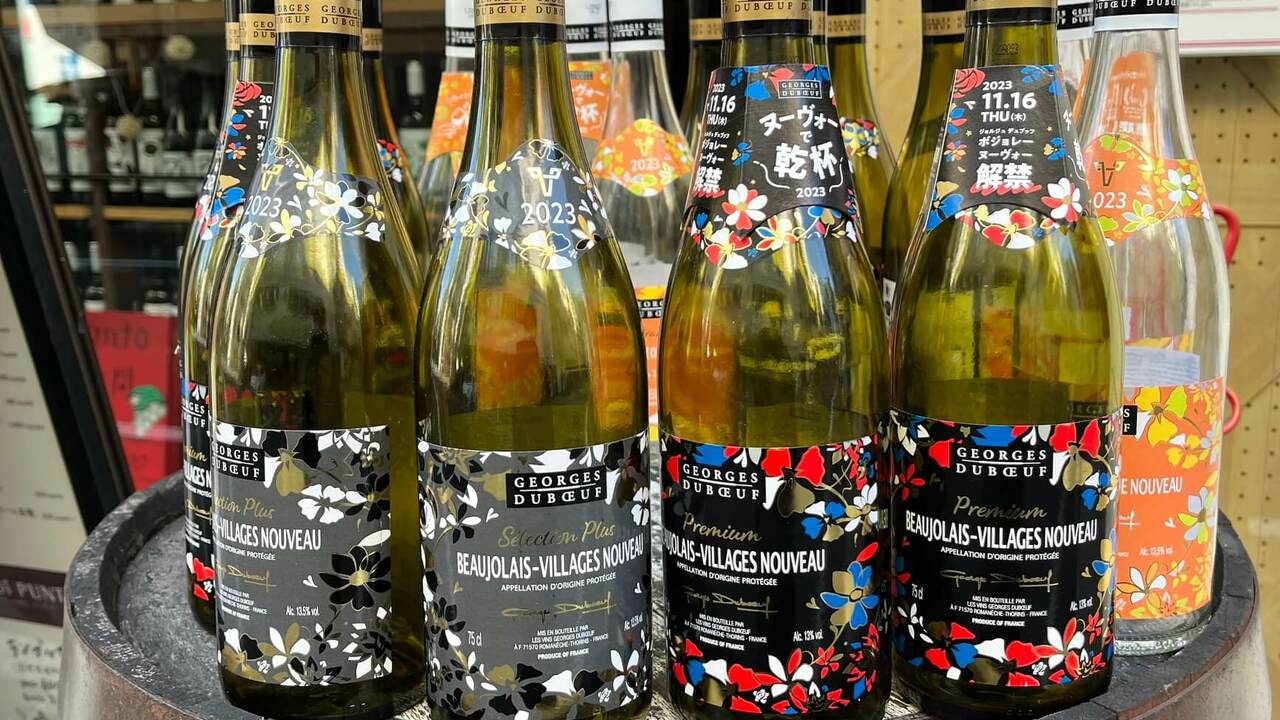 Di PUNTOの事業内容の写真4枚目