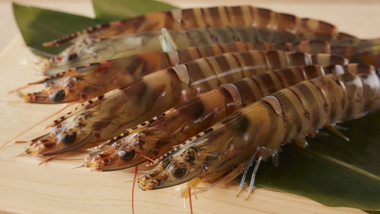 寿司酒場　つまむ。で働く人の写真2枚目