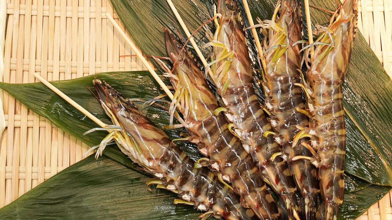 西麻布 鮨 かりんのこだわりポイントの写真2枚目