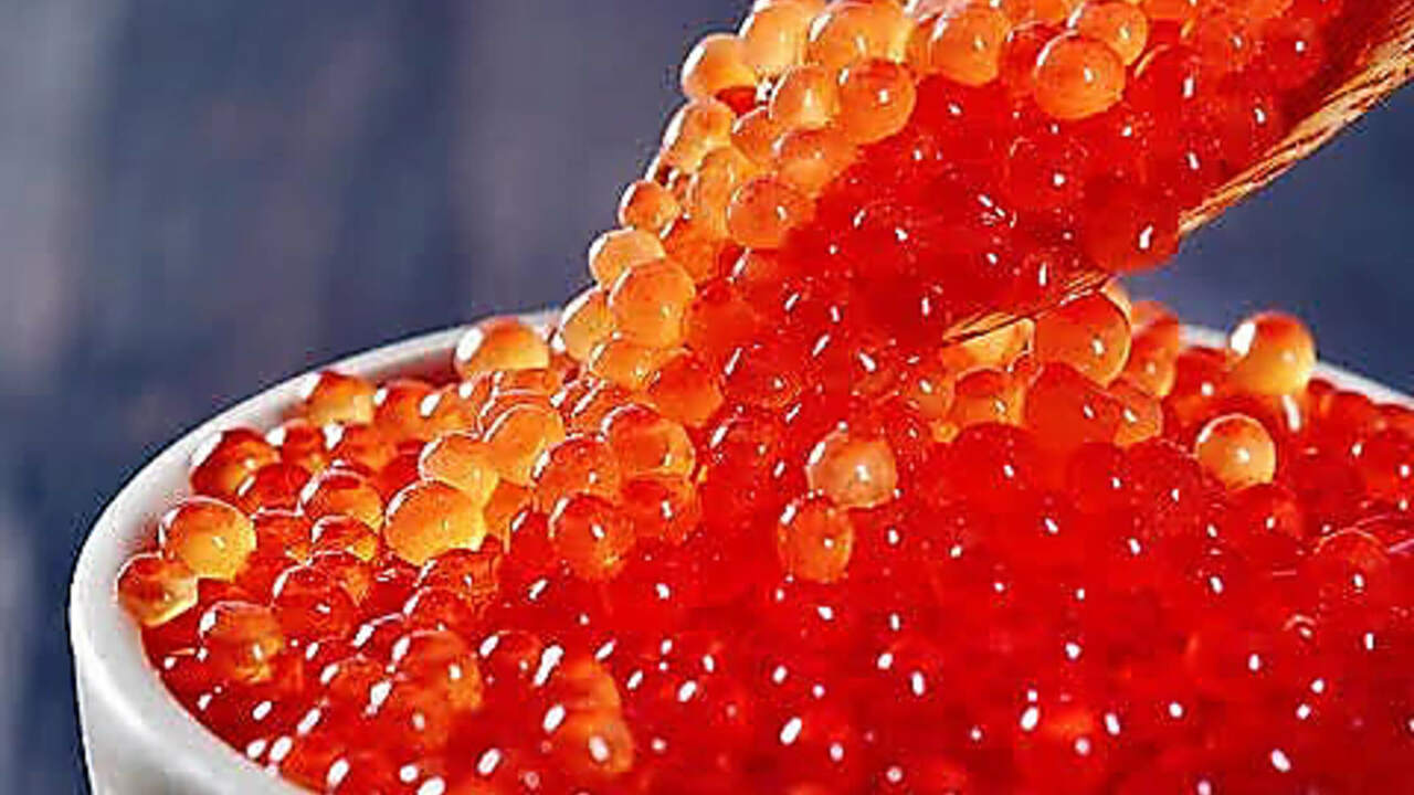 佐屋の事業内容の写真4枚目