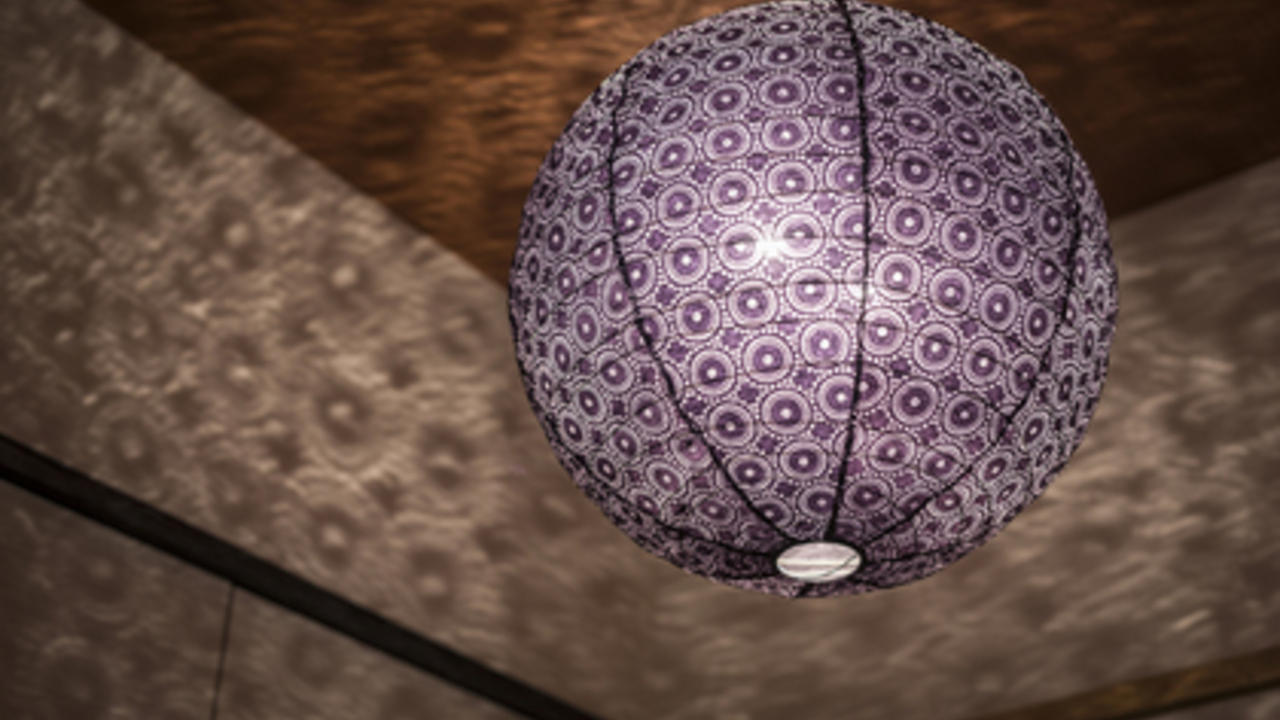 種やの事業内容の写真4枚目