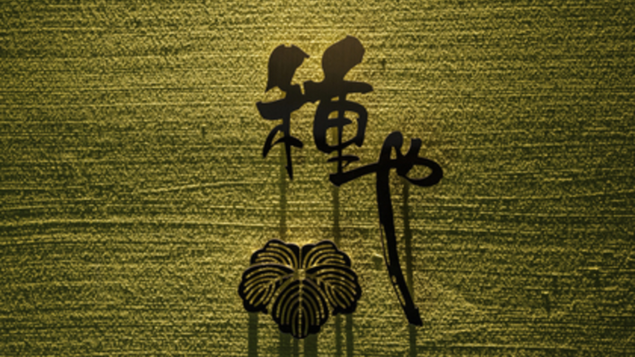 種や～朧～の事業内容の写真1枚目